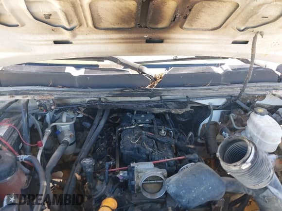 ✅ 2013 Chevrolet Silverado 2500HD LT • VIN: 1GC1CVEG8DF165845 • Lot: 41666605. Wystawiony na IAAI z przebiegiem 277 878 mil. Bezpłatny archiwum sprzedaży aukcyjnych z USA i szczegółowy raport historii pojazdu na DreamBid. Zdjęcie 6.