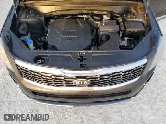 ✅ 2020 Kia Telluride EX • VIN: 5XYP34HCXLG066890 • Lot: 84368084. Listed on Copart with 51,319 mi. Free auction sales archive from the USA and detailed vehicle history report at DreamBid. Image 12.