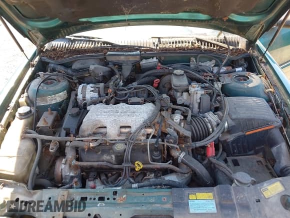 ✅ 1997 Buick Skylark • VIN: 1G4NJ52M7VC445899 • Lot: 42564060. Wystawiony na IAAI z przebiegiem 213 900 mil. Bezpłatny archiwum sprzedaży aukcyjnych z USA i szczegółowy raport historii pojazdu na DreamBid. Zdjęcie 10.