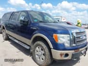 ✅ 2009 Ford F-150 XL • VIN: 1FTPW14V19FA44706 • Lot: 42530002. Listed on IAAI with 208,419 mi. Free auction sales archive from the USA and detailed vehicle history report at DreamBid. Image 1.