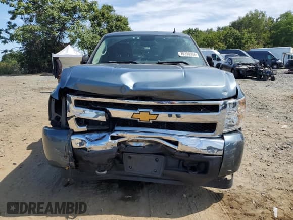 ✅ 2010 Chevrolet Silverado 1500 LT • VIN: 1GCSKSE35AZ119144 • Lot: 70230304. Listed on Copart with 131,257 mi. Free auction sales archive from the USA and detailed vehicle history report at DreamBid. Image 5.