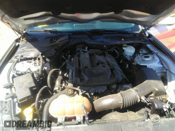 ✅ 2019 Ford Mustang EcoBoost • VIN: 1FA6P8TH8K5189952 • Лот: 43364514. Опубликован ранее на IAAI с пробегом 66 307 миль. Бесплатный доступ к архиву аукционных продаж из США и подробный отчёт об истории автомобиля на DreamBid. Изображение 10.