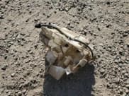 ✅ 2011 Nissan 370Z Touring • VIN: JN1AZ4EH9BM554474 • Lot: 91688165. Listed on Copart with 103,051 mi. Free auction sales archive from the USA and detailed vehicle history report at DreamBid. Image 12.