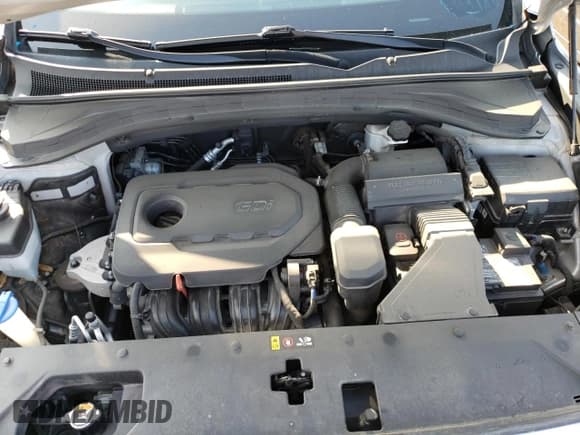 ✅ 2020 Hyundai Santa Fe SEL • VIN: 5NMS3CADXLH189845 • Lot: 67670723. Wystawiony na Copart z przebiegiem 65 287 mil. Bezpłatny archiwum sprzedaży aukcyjnych z USA i szczegółowy raport historii pojazdu na DreamBid. Zdjęcie 12.