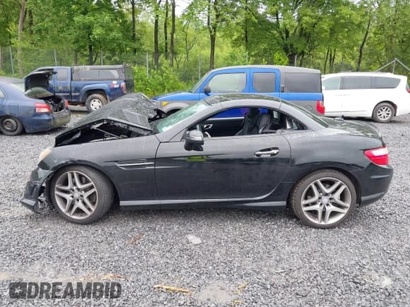 ✅ 2015 Mercedes-Benz SLK 350 • VIN: WDDPK5HAXFF101755 • Lot: 42514602. Wystawiony na IAAI z przebiegiem 59 454 mil. Bezpłatny archiwum sprzedaży aukcyjnych z USA i szczegółowy raport historii pojazdu na DreamBid. Zdjęcie 14.