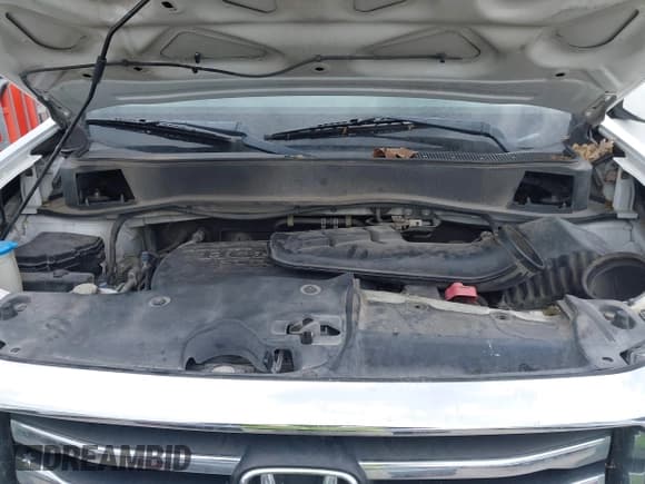 ✅ 2013 Honda Pilot EX-L • VIN: 5FNYF3H76DB003867 • Lot: 42419043. Listed on IAAI with 175,632 mi. Free auction sales archive from the USA and detailed vehicle history report at DreamBid. Image 10.