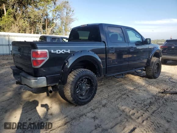 ✅ 2010 Ford F-150 XL • VIN: 1FTEW1E88AFA79425 • Lot: 84428045. Wystawiony na Copart z przebiegiem 148 428 mil. Bezpłatny archiwum sprzedaży aukcyjnych z USA i szczegółowy raport historii pojazdu na DreamBid. Zdjęcie 3.