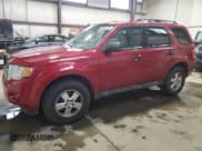 ✅ 2009 Ford Escape XLT • VIN: 1FMCU93G59KC13635 • Lot: 86461745. Listed on Copart with 232,865 mi. Free auction sales archive from the USA and detailed vehicle history report at DreamBid. Image 1.