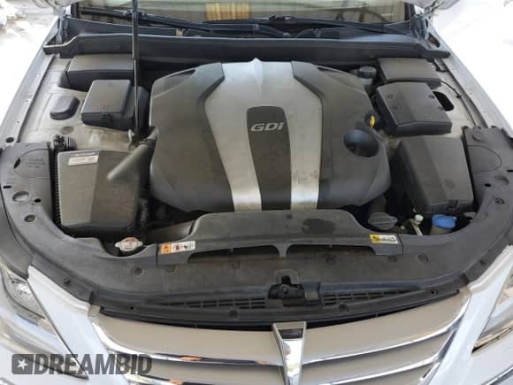 2014 Hyundai Genesis 3.8L with VIN KMHGC4DD8EU263651, listed as a Copart auction lot 87035935 with 117,273 mi miles and Salvage title. Bid and sale history available at DreamBid. Image 11.