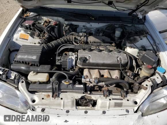 1995 Honda Civic with VIN JHMEG8558SS016327, listed as a Copart auction lot 74427004 with 153,248 mi miles and Salvage title. Bid and sale history available at DreamBid. Image 11.