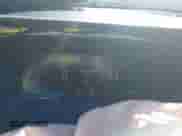 2025 Hyundai Palisade XRT z VIN KM8R34GE0SU945657, wystawiony jako IAAI lot #43298136 z przebiegiem 1 334 mil mil oraz . Historia ofert i sprzedaży dostępna na DreamBid. Obrazek 7.