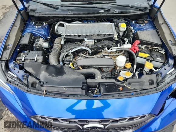 ✅ 2022 Subaru WRX GT • VIN: JF1VBAU6XN8032943 • Lot: 71635305. Listed on Copart with 33,224 mi. Free auction sales archive from the USA and detailed vehicle history report at DreamBid. Image 11.