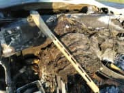 ✅ 2017 Jaguar XJ Portfolio • VIN: SAJWJ2GD1H8W06644 • Lot: 40012333. Listed on IAAI with Not provided. Free auction sales archive from the USA and detailed vehicle history report at DreamBid. Image 7.