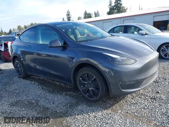 ✅ 2023 Tesla Model Y Long Range • VIN: 7SAYGAEE8PF699949 • Lot: 43311264. Wystawiony na IAAI z przebiegiem 41 866 mil. Bezpłatny archiwum sprzedaży aukcyjnych z USA i szczegółowy raport historii pojazdu na DreamBid. Zdjęcie 1.
