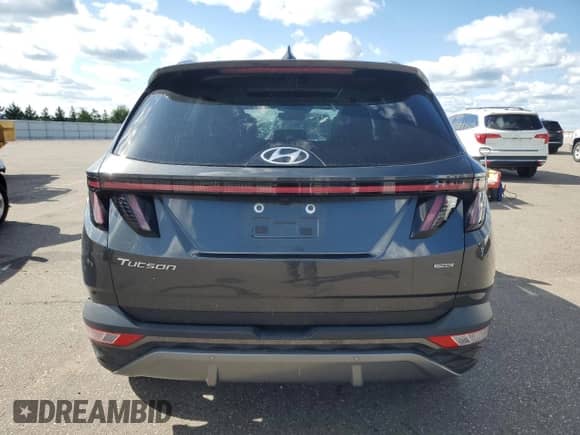 2024 Hyundai Tucson Limited с VIN 5NMJECDE6RH316156, выставлен на аукционе Copart как лот 69847945 с пробегом 50 887 миль миль и Списание • Salvage title. История ставок и продаж доступна на DreamBid. Изображение 6.