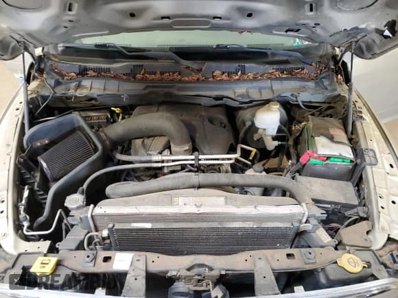 ✅ 2010 Dodge 1500 Sport • VIN: 1D7RV1CT0AS197302 • Lot: 63210685. Wystawiony na Copart z przebiegiem 132 615 mil. Bezpłatny archiwum sprzedaży aukcyjnych z USA i szczegółowy raport historii pojazdu na DreamBid. Zdjęcie 11.