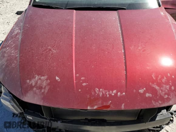 ✅ 2024 Hyundai Tucson Limited • VIN: 5NMJE3DE2RH409059 • Лот: 82529425. Опубликован ранее на Copart с пробегом 34 032 миль. Бесплатный доступ к архиву аукционных продаж из США и подробный отчёт об истории автомобиля на DreamBid. Изображение 12.