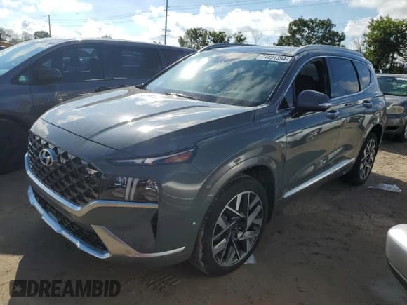 ✅ 2022 Hyundai Santa Fe Calligraphy • VIN: 5NMS54AL7NH430092 • Lot: 74491394. Wystawiony na Copart z przebiegiem Nie podano. Bezpłatny archiwum sprzedaży aukcyjnych z USA i szczegółowy raport historii pojazdu na DreamBid. Zdjęcie 1.