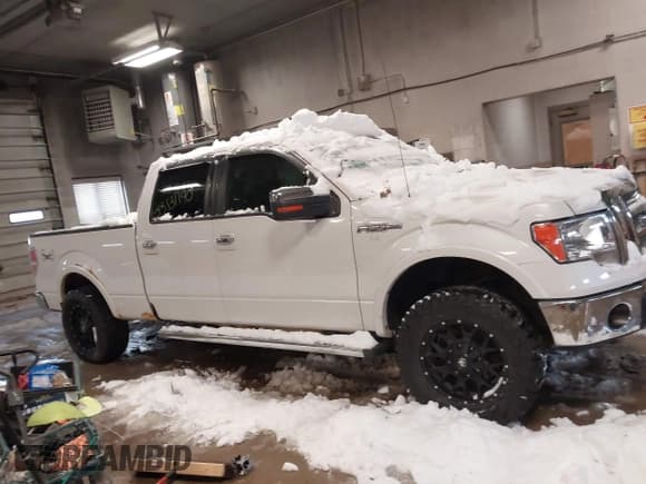 ✅ 2010 Ford F-150 XL • VIN: 1FTFW1EV8AFC31990 • Lot: 43831140. Listed on IAAI with 140,513 mi. Free auction sales archive from the USA and detailed vehicle history report at DreamBid. Image 13.