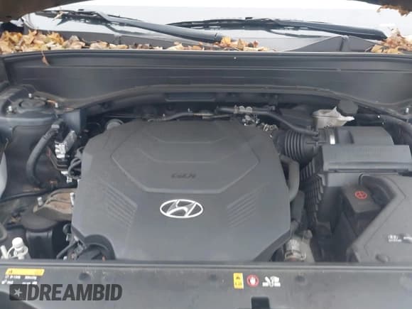 ✅ 2020 Hyundai Palisade SEL • VIN: KM8R3DHE7LU064289 • Lot: 43782386. Wystawiony na IAAI z przebiegiem 73 566 mil. Bezpłatny archiwum sprzedaży aukcyjnych z USA i szczegółowy raport historii pojazdu na DreamBid. Zdjęcie 10.