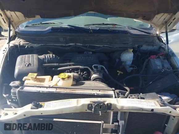 2008 Dodge 1500 SLT с VIN 1D7HA18258J209130, выставлен на аукционе IAAI как лот 43478186 с пробегом 227 464 миль миль и . История ставок и продаж доступна на DreamBid. Изображение 10.