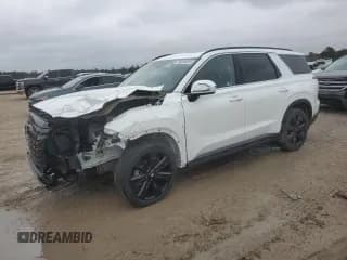 ✅ 2024 Hyundai Palisade XRT • VIN: KM8R34GE4RU746721 • Лот: 88296025. Опубликован ранее на Copart с пробегом 4 569 миль. Бесплатный доступ к архиву аукционных продаж из США и подробный отчёт об истории автомобиля на DreamBid. Изображение 1.