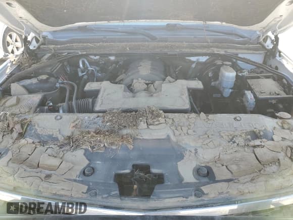 ✅ 2020 Chevrolet Suburban LS • VIN: 1GNSKGKC5LR138031 • Lot: 83558094. Listed on Copart with Not provided. Free auction sales archive from the USA and detailed vehicle history report at DreamBid. Image 12.