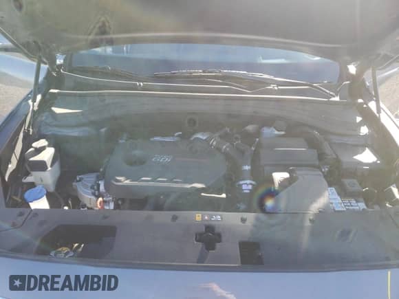 2019 Hyundai Santa Fe Limited z VIN 5NMS53AA4KH042189, wystawiony jako Copart lot #35773883 z przebiegiem 34 872 mil mil oraz . Historia ofert i sprzedaży dostępna na DreamBid. Obrazek 12.