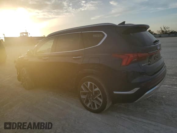 ✅ 2023 Hyundai Santa Fe Calligraphy • VIN: 5NMS54AL1PH550487 • Lot: 39561924. Wystawiony na Copart z przebiegiem 7 090 mil. Bezpłatny archiwum sprzedaży aukcyjnych z USA i szczegółowy raport historii pojazdu na DreamBid. Zdjęcie 2.