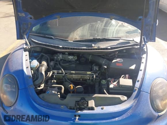 ✅ 2005 Volkswagen Beetle GLS • VIN: 3VWCR31C25M402682 • Lot: 43013328. Listed on IAAI with 116,321 mi. Free auction sales archive from the USA and detailed vehicle history report at DreamBid. Image 10.