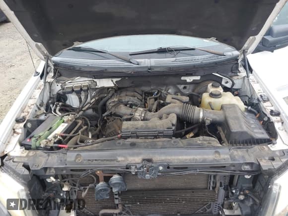 ✅ 2011 Ford F-150 XL • VIN: 1FTMF1CM1BFC07033 • Lot: 42368375. Listed on IAAI with 176,861 mi. Free auction sales archive from the USA and detailed vehicle history report at DreamBid. Image 10.