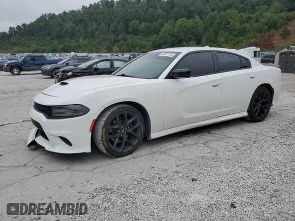 ✅ 2020 Dodge Charger R/T • VIN: 2C3CDXCT4LH217040 • Lot: 69871155. Listed on Copart with 80,788 mi. Free auction sales archive from the USA and detailed vehicle history report at DreamBid. Image 1.