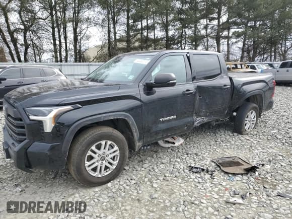 ✅ 2022 Toyota Tundra SR5 • VIN: 5TFLA5DB4NX026344 • Лот: 46286115. Опубликован ранее на Copart с пробегом Не указан. Бесплатный доступ к архиву аукционных продаж из США и подробный отчёт об истории автомобиля на DreamBid. Изображение 1.