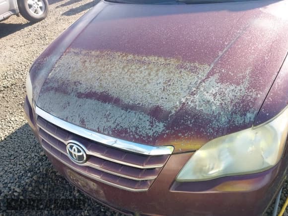 ✅ 2005 Toyota Avalon Limited • VIN: 4T1BK36B85U017542 • Лот: 43826272. Опубликован ранее на IAAI с пробегом 190 416 миль. Бесплатный доступ к архиву аукционных продаж из США и подробный отчёт об истории автомобиля на DreamBid. Изображение 6.