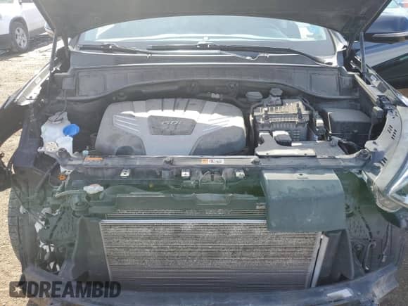 2019 Hyundai Santa Fe Limited Ultimate with VIN KM8SRDHF7KU309776, listed as a Copart auction lot 45888095 with 52,550 mi miles and Salvage title. Bid and sale history available at DreamBid. Image 12.