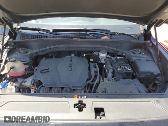 ✅ 2022 Hyundai Santa Fe SE • VIN: 5NMS14AJ5NH436600 • Lot: 54746405. Listed on Copart with 105,220 mi. Free auction sales archive from the USA and detailed vehicle history report at DreamBid. Image 12.