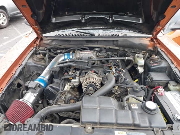 ✅ 1999 Ford Mustang GT • VIN: 1FAFP42X1XF226018 • Lot: 41506742. Listed on IAAI with Not provided. Free auction sales archive from the USA and detailed vehicle history report at DreamBid. Image 10.