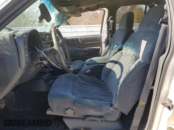 1999 Chevrolet Blazer LS z VIN 1GNDT13W9XK169082, wystawiony jako Copart lot #82568524 z przebiegiem 115 807 mil mil oraz Szkoda całkowita • Salvage title. Historia ofert i sprzedaży dostępna na DreamBid. Obrazek 7.