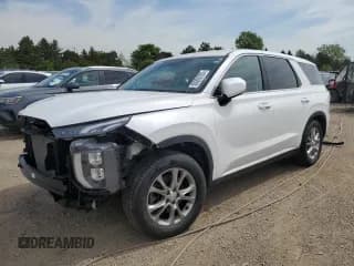 ✅ 2020 Hyundai Palisade SE • VIN: KM8R1DHEXLU065619 • Лот: 55265735. Опубликован ранее на Copart с пробегом 74 015 миль. Бесплатный доступ к архиву аукционных продаж из США и подробный отчёт об истории автомобиля на DreamBid. Изображение 1.