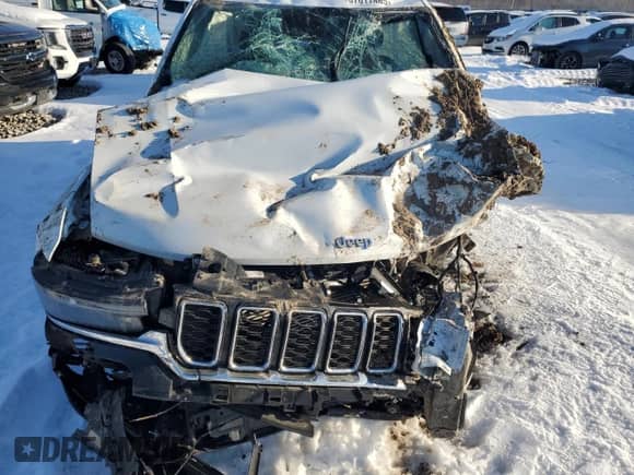 2022 Jeep Grand Cherokee with VIN 1C4RJYB64N8756069, listed as a Copart auction lot 87617485 with Not provided miles and Salvage title. Bid and sale history available at DreamBid. Image 11.