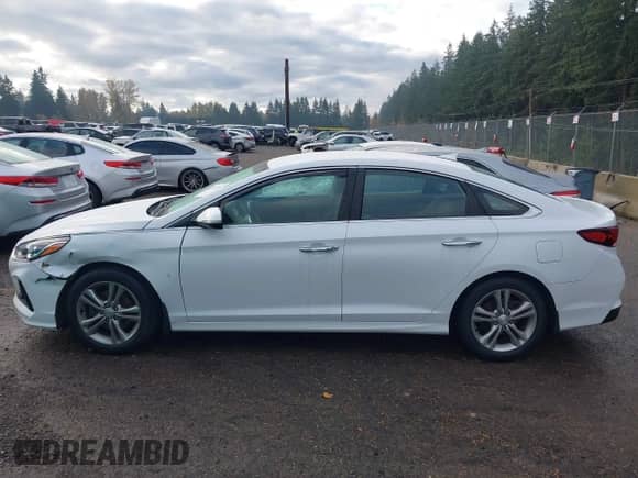 2018 Hyundai Sonata SEL с VIN 5NPE34AF5JH609077, выставлен на аукционе IAAI как лот 43599538 с пробегом 115 821 миль миль и . История ставок и продаж доступна на DreamBid. Изображение 14.