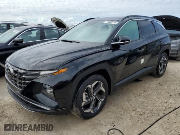 ✅ 2024 Hyundai Tucson Limited • VIN: 5NMJE3DE5RH417916 • Lot: 74268394. Listed on Copart with Not provided. Free auction sales archive from the USA and detailed vehicle history report at DreamBid. Image 1.