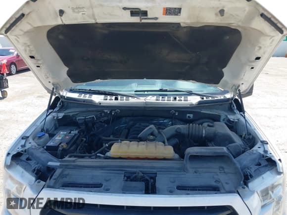 ✅ 2017 Ford F-150 XL • VIN: 1FTEW1CF2HKD16011 • Lot: 42154804. Wystawiony na IAAI z przebiegiem 167 205 mil. Bezpłatny archiwum sprzedaży aukcyjnych z USA i szczegółowy raport historii pojazdu na DreamBid. Zdjęcie 10.