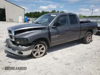 2004 Dodge 1500 SLT с VIN 1D7HA18N84S502602, выставлен на аукционе Copart как лот 66199284 с пробегом 224 248 миль миль и Списание • Salvage title. История ставок и продаж доступна на DreamBid. Изображение 1.