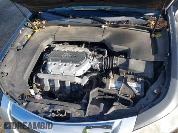 ✅ 2010 Acura TL Technology • VIN: 19UUA8F57AA025782 • Lot: 43683490. Wystawiony na IAAI z przebiegiem 174 908 mil. Bezpłatny archiwum sprzedaży aukcyjnych z USA i szczegółowy raport historii pojazdu na DreamBid. Zdjęcie 10.