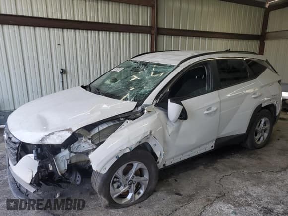 ✅ 2024 Hyundai Tucson SEL • VIN: 5NMJBCDEXRH398370 • Lot: 87601605. Wystawiony na Copart z przebiegiem 11 932 mil. Bezpłatny archiwum sprzedaży aukcyjnych z USA i szczegółowy raport historii pojazdu na DreamBid. Zdjęcie 1.