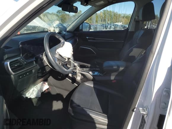 ✅ 2024 Kia Telluride S • VIN: 5XYP6DGC6RG491461 • Lot: 89546105. Listed on Copart with 62,106 mi. Free auction sales archive from the USA and detailed vehicle history report at DreamBid. Image 7.