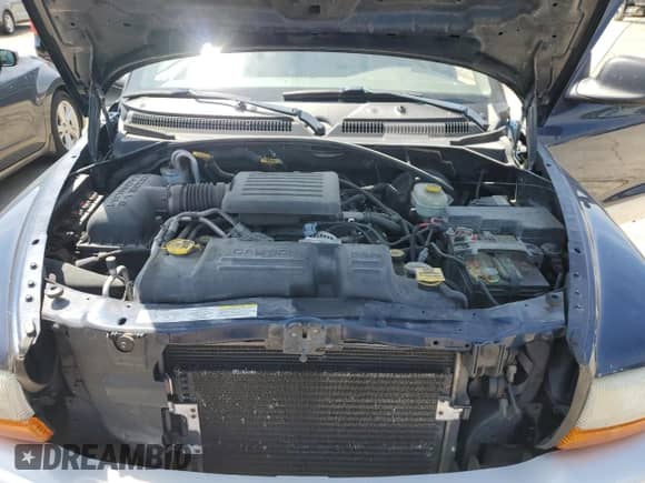 2003 Dodge Dakota SLT with VIN 1D7HL42N33S237980, listed as a Copart auction lot 55276095 with 97,471 mi miles and Clean title. Bid and sale history available at DreamBid. Image 11.