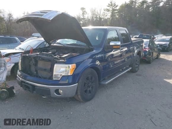 ✅ 2010 Ford F-150 XL • VIN: 1FTFW1EV6AFA33005 • Lot: 43888050. Listed on IAAI with 220,967 mi. Free auction sales archive from the USA and detailed vehicle history report at DreamBid. Image 18.