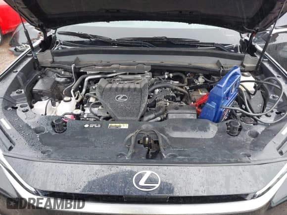 ✅ 2024 Lexus TX 350 • VIN: 5TDAAAB66RS006100 • Lot: 42162676. Listed on IAAI with 16,480 mi. Free auction sales archive from the USA and detailed vehicle history report at DreamBid. Image 10.